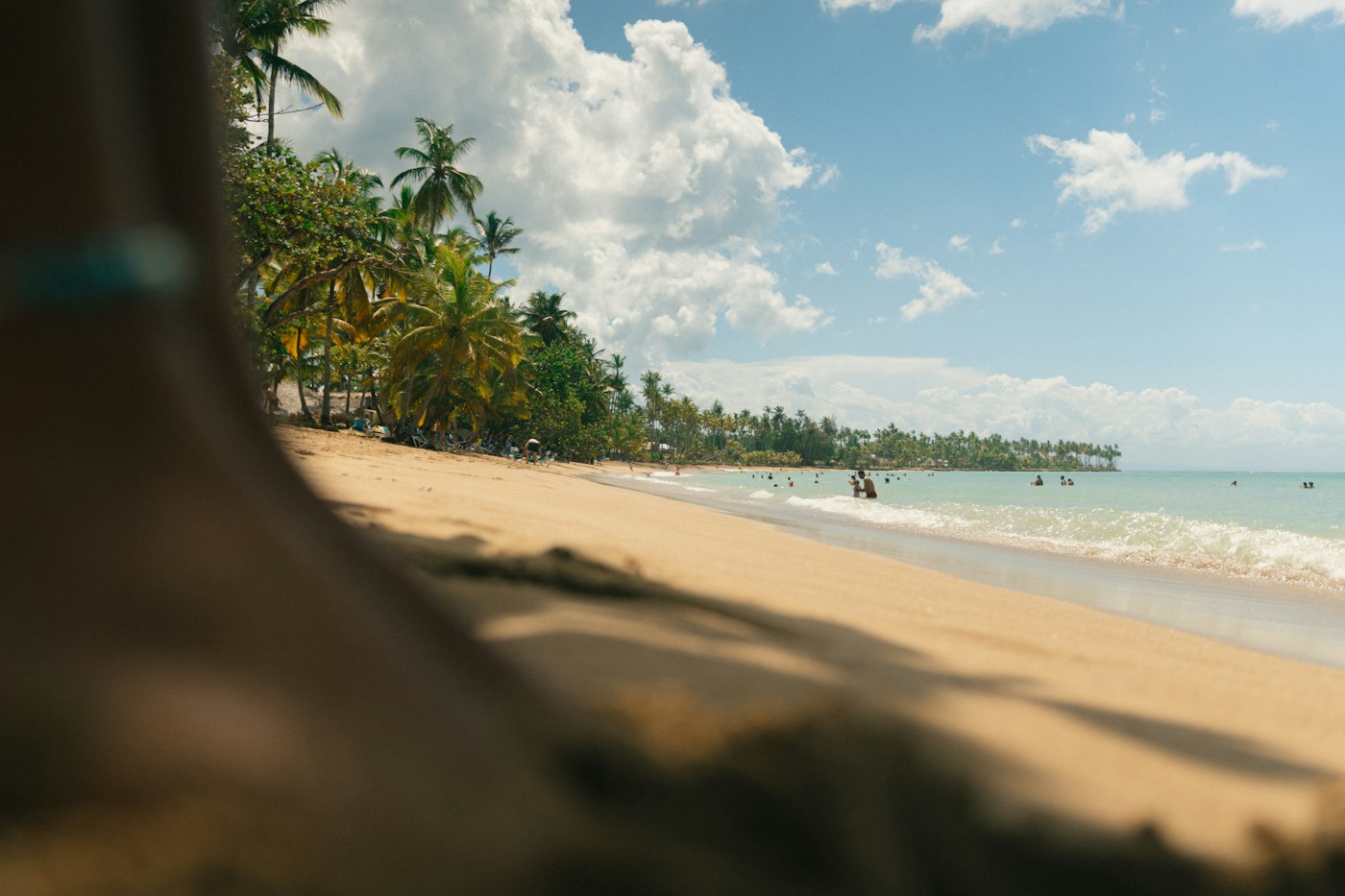 Palmeras, arena y mar en Playa Bonita, en Las Terrenas, Samaná